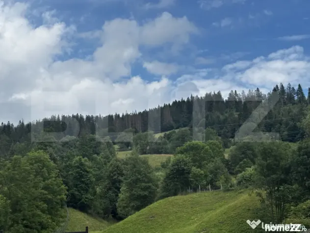 Teren intravilan de vânzare, 6500mp + o casă bătrâneasc? - Suceava (Suceava)