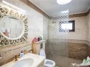 Vila cu deschidere la lac, piscina, garaj inchis - Branesti, 