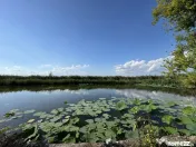 Teren 887mp Snagov | utilitati la gard | autorizatie ponton