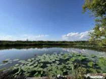 Teren 887mp Snagov | utilitati la gard | autorizatie ponton