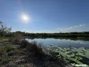 Teren 887mp Snagov | utilitati la gard | autorizatie ponton