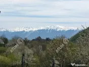 Teren intravilan 2039 mp situat in Cisnadioara din Sibiu 