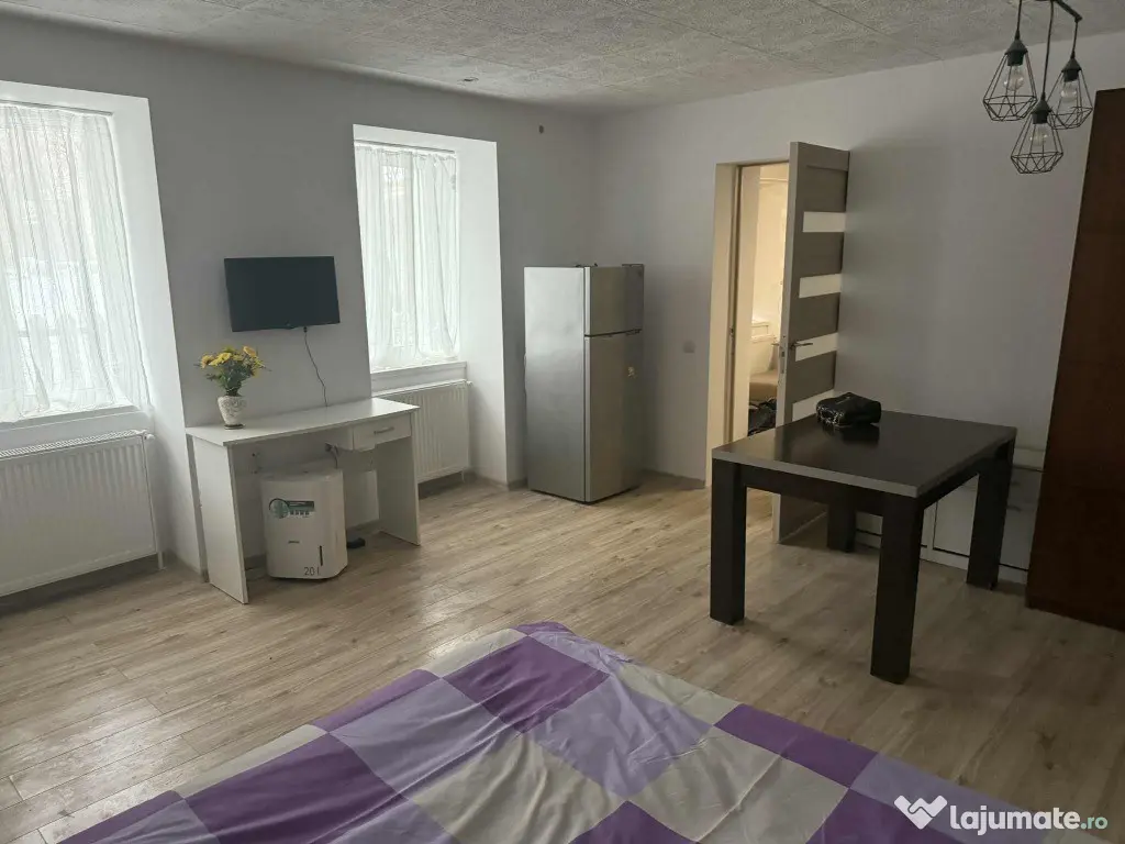 Apartament 1 camera Centru