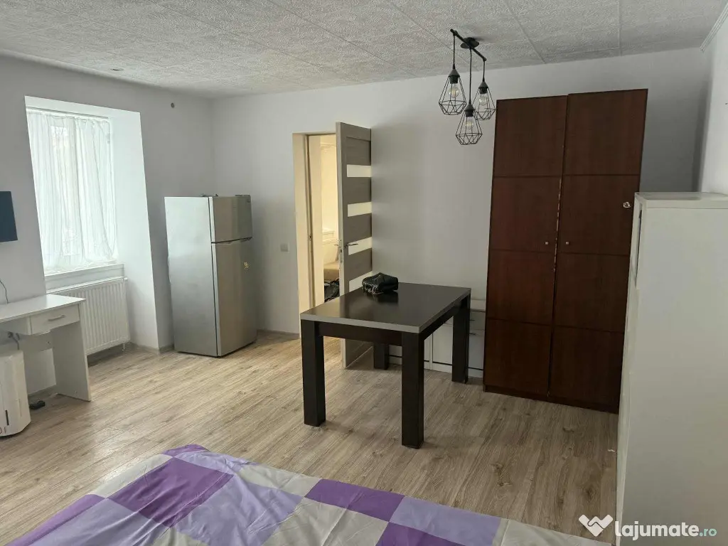 Apartament 1 camera Centru