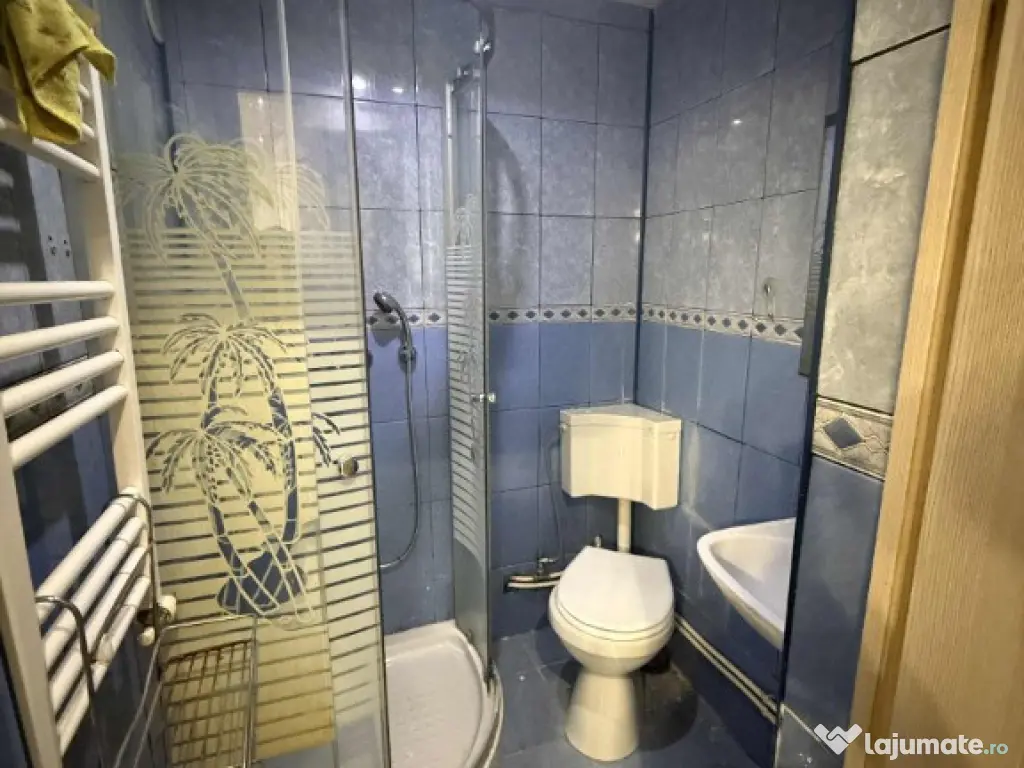 Apartament 1 camera Centru