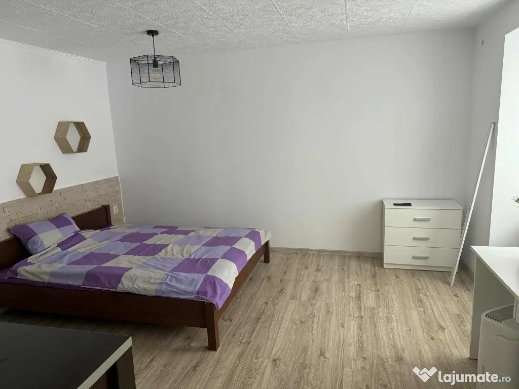 Apartament 1 camera Centru