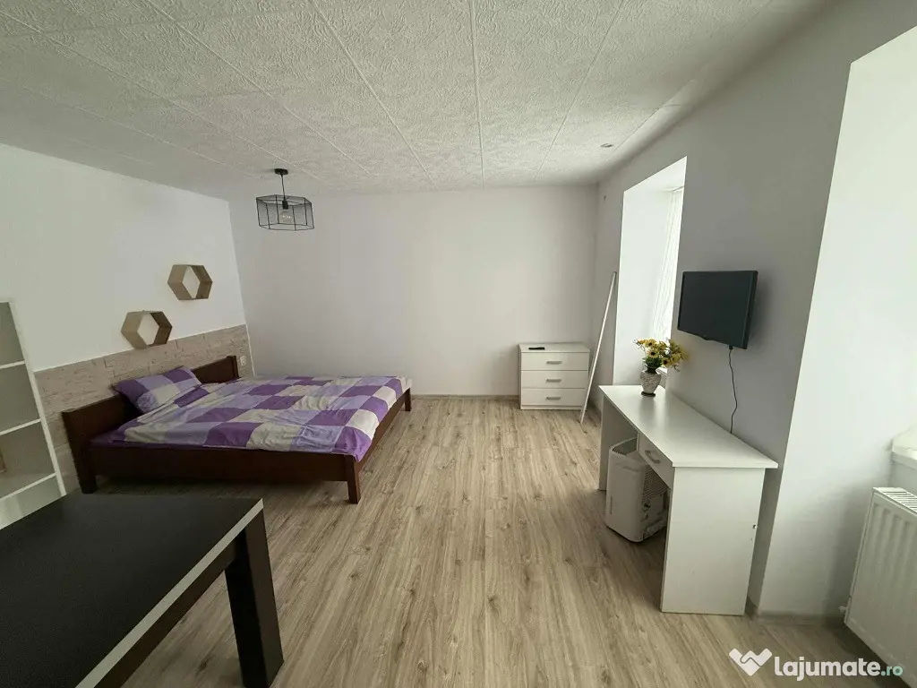 Apartament 1 camera Centru