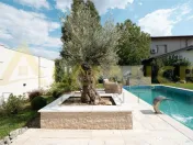 Vila Impresionanta cu Piscina Privata si Gradina de 850 mp i 