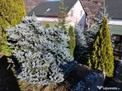 Vilă premium de vânzare | Exclusivitate | Băile Olăne... 