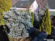 Vilă premium de vânzare | Exclusivitate | Băile Olăne... 