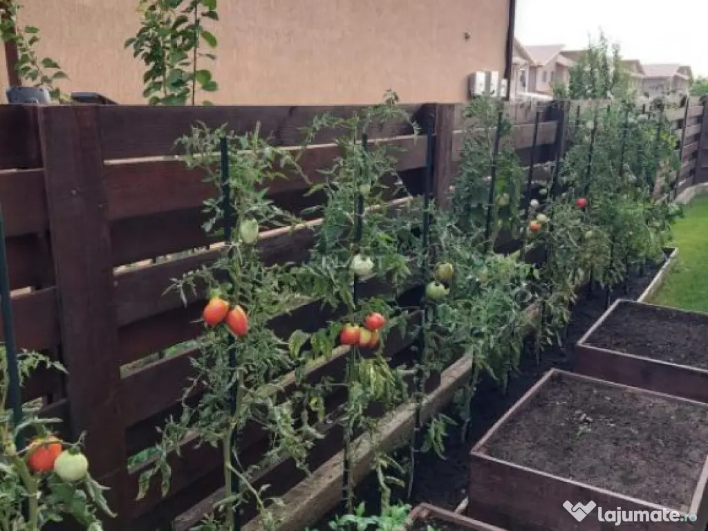 Casa 4C Valea Lupului-Iași