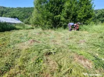 Teren intravilan, 1049 mp – Cobia, sat Mislea – ieșire