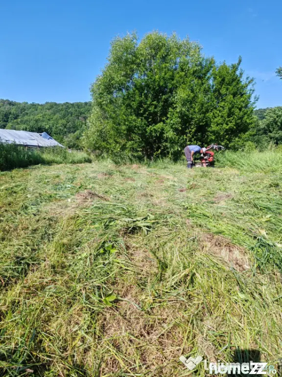 Teren parcelat intravilan 1040 mp – Cobia, sat Mislea – - Mislea (Dambovita)