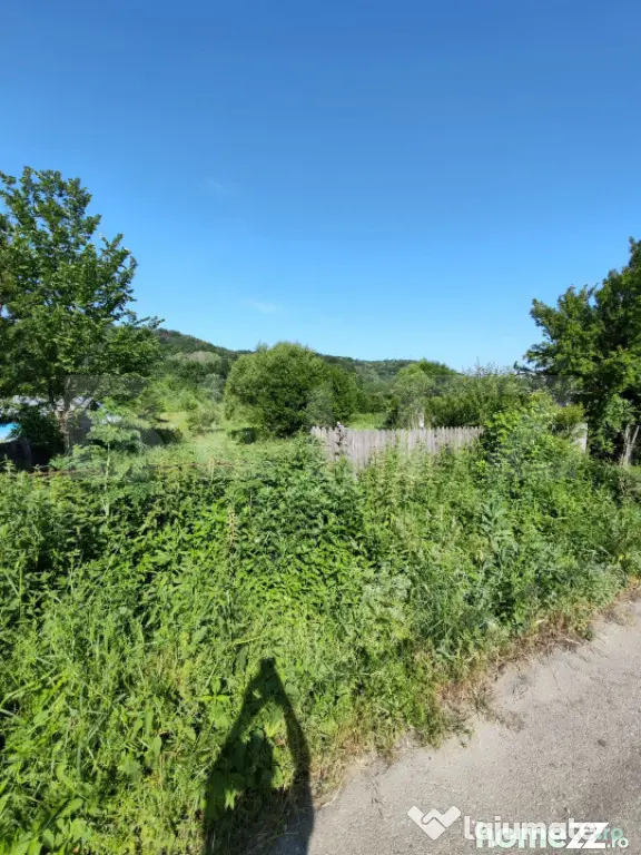 Teren parcelat intravilan 1040 mp – Cobia, sat Mislea – - Mislea (Dambovita)