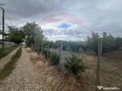 Teren 1300mp Campineanca / Intrare din Strada Hotarului 