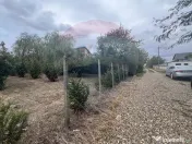 Teren 1300mp Campineanca / Intrare din Strada Hotarului 