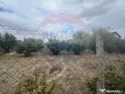 Teren 1300mp Campineanca / Intrare din Strada Hotarului 