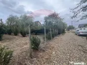 Teren 1300mp Campineanca / Intrare din Strada Hotarului 