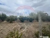 Teren 1300mp Campineanca / Intrare din Strada Hotarului 