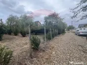 Teren 1300mp Campineanca / Intrare din Strada Hotarului 