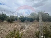 Teren 1300mp Campineanca / Intrare din Strada Hotarului 