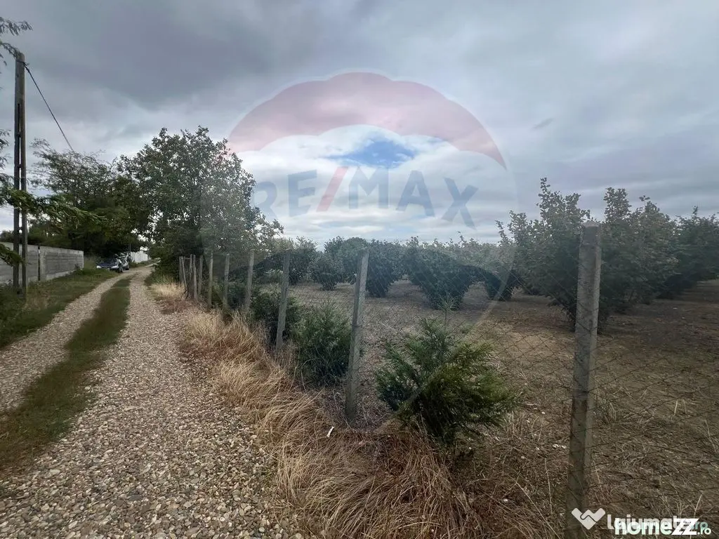 Teren intravilan 1300mp Campineanca / Intrare din Strada ...