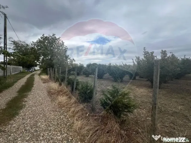 Teren intravilan 1300mp Campineanca / Intrare din Strada ...