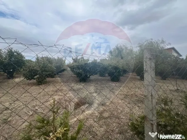 Teren intravilan 1300mp Campineanca / Intrare din Strada ...