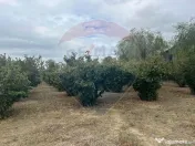 Teren 1300mp Campineanca / Intrare din Strada Hotarului 