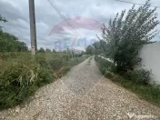 Teren 1300mp Campineanca / Intrare din Strada Hotarului 