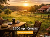 Teren intravilan Comana 2300 mp Front 12,5 m Comision 0% 