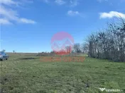 Teren Intravilan 1200 mp cu Deschidere la Doua Strazi - Efor 