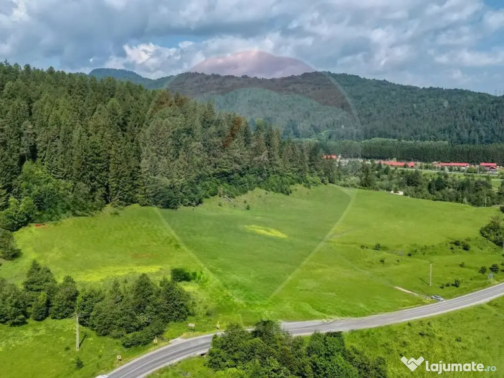 Comision 0% | Teren 10,000mp Sacele / Strada Barajului