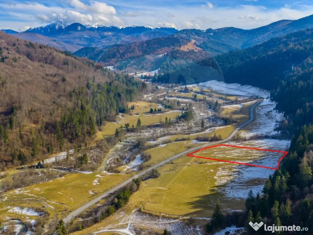 Comision 0% | Teren 10,000mp Sacele / Strada Barajului