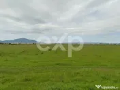 Teren intravilan cu potențial dezvoltare rezidențială în 