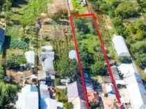 Teren intravilan 1,189mp Buftea - constructii si livada/ ...