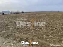 Comision 0% - Teren Primarie Dumesti, 8100 mp, front 13 ml,