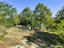 Casă lângă PĂDURE + anexe + 6400 mp TEREN intravilan - s