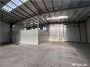 Depozit/hala/spatiu industrial Chiajna - Chitila - Rudeni 