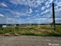 Teren Intravilan 8.6 ari, Scheia, 20 m deschidere