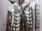 Haina de blana dama