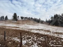 Teren extravilan 8290 mp, Front 50ml - Sadova - Panorama Buc