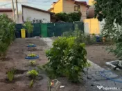 Teren 370mp + casa din caramida, toate utilitatile, zona Ant 