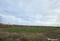 Teren extravilan de vanzare cu utilitati, 5900mp, zona Closc