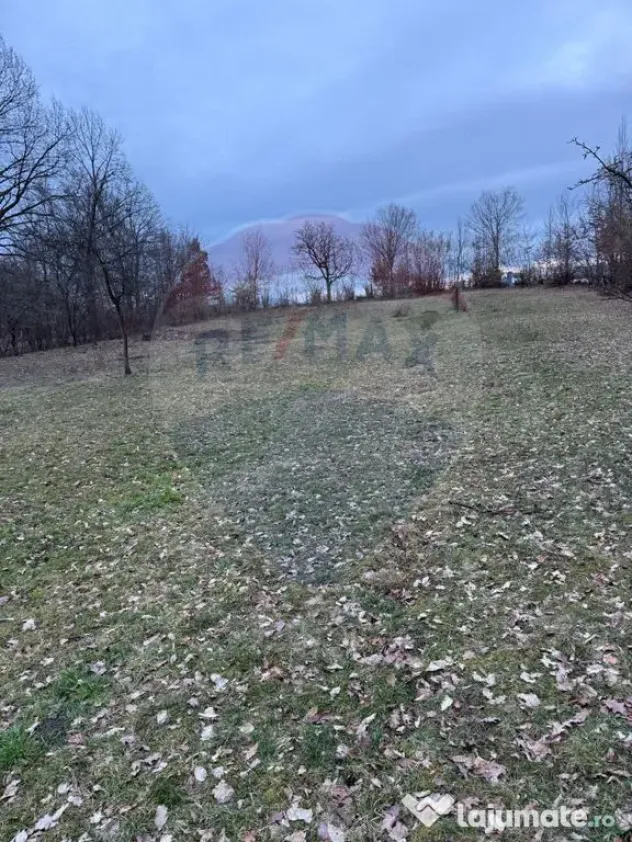 Teren intravilan cu priveliste de vanzare in Rus