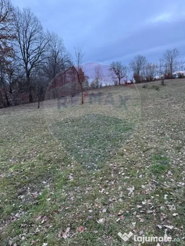 Teren intravilan cu priveliste de vanzare in Rus