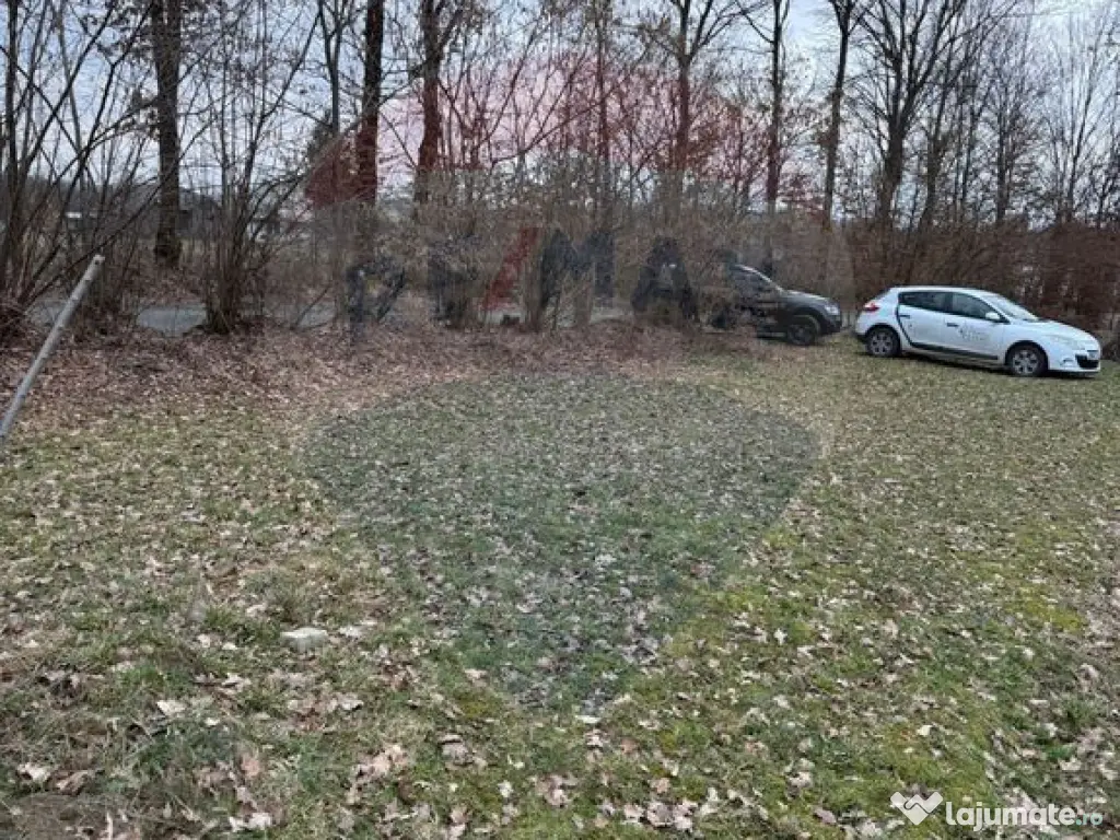 Teren intravilan cu priveliste de vanzare in Rus