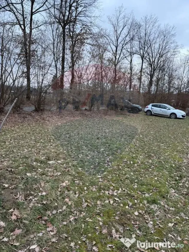 Teren intravilan cu priveliste de vanzare in Rus