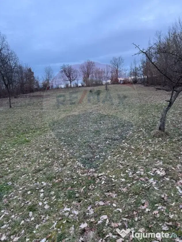 Teren intravilan cu priveliste de vanzare in Rus
