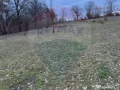 Teren intravilan cu priveliste de vanzare in Rus 